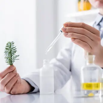 Medicamine Ingredientia