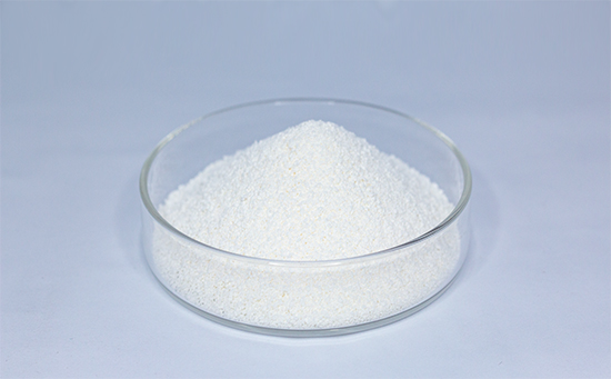 Ectoine: Molecularis protector vitae tuendi in extrema condicione