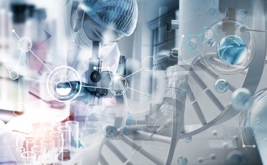 Electio Post Decorem: Altum Connection Inter Cosmetics et Vitalis