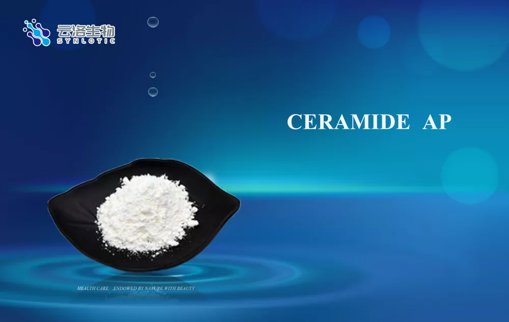 La CEMRAM