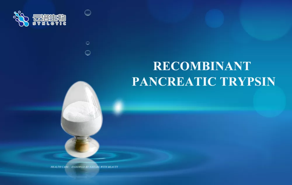 Recombinant pancreaticum trypsin